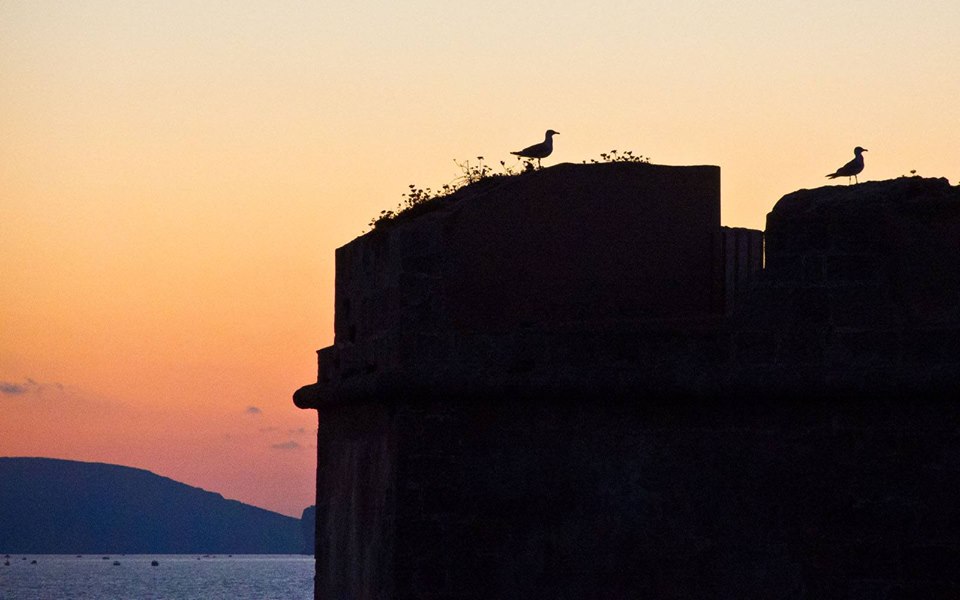Fotografia di Davide Vasta