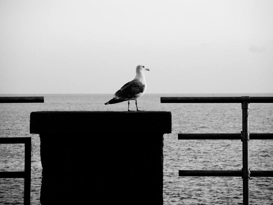Fotografia di Davide Vasta