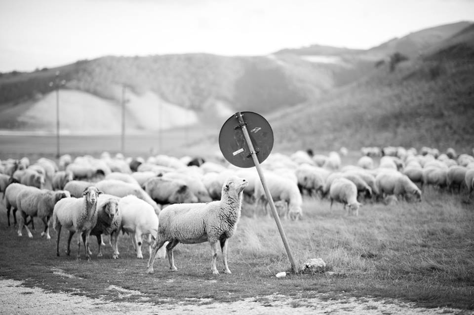 Fotografia di Davide Vasta