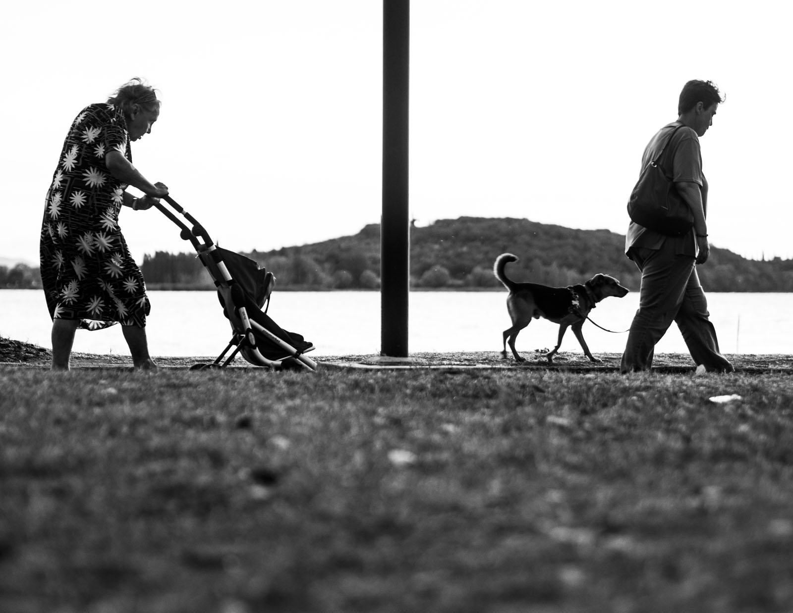 Fotografia di Davide Vasta